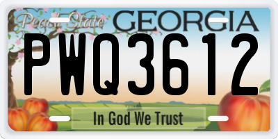 GA license plate PWQ3612