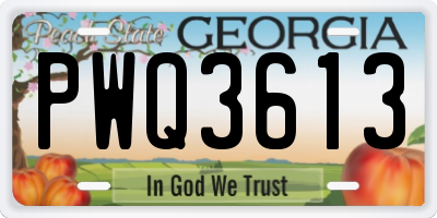 GA license plate PWQ3613