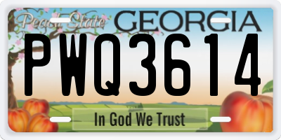 GA license plate PWQ3614