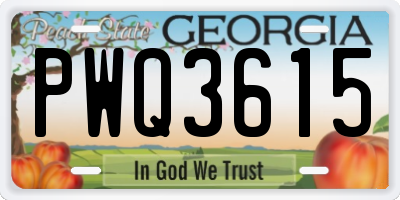 GA license plate PWQ3615