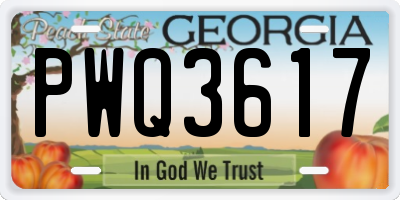 GA license plate PWQ3617