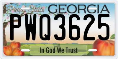 GA license plate PWQ3625