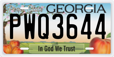 GA license plate PWQ3644
