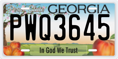 GA license plate PWQ3645