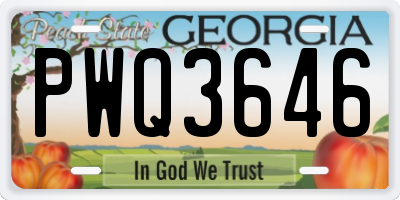 GA license plate PWQ3646