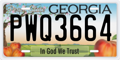 GA license plate PWQ3664