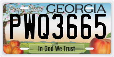 GA license plate PWQ3665