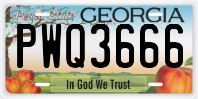 GA license plate PWQ3666