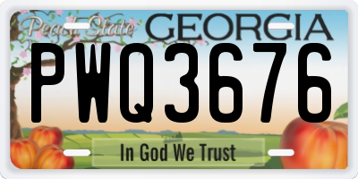 GA license plate PWQ3676