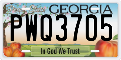 GA license plate PWQ3705