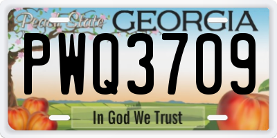GA license plate PWQ3709