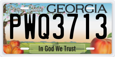 GA license plate PWQ3713