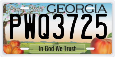 GA license plate PWQ3725