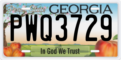 GA license plate PWQ3729
