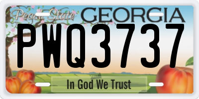 GA license plate PWQ3737