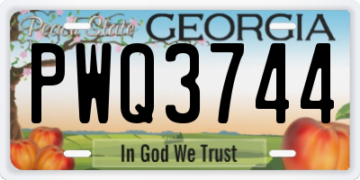 GA license plate PWQ3744