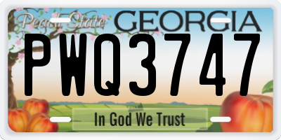 GA license plate PWQ3747