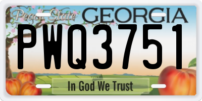 GA license plate PWQ3751