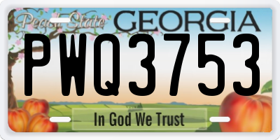 GA license plate PWQ3753