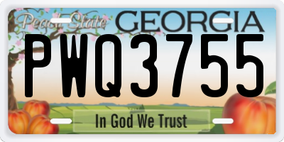 GA license plate PWQ3755