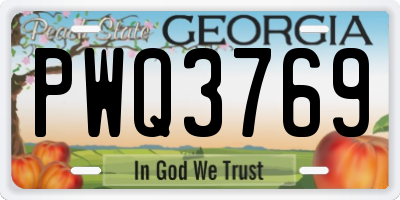 GA license plate PWQ3769