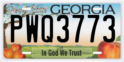 GA license plate PWQ3773