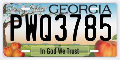 GA license plate PWQ3785