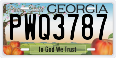 GA license plate PWQ3787