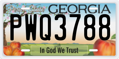 GA license plate PWQ3788