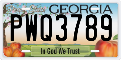 GA license plate PWQ3789