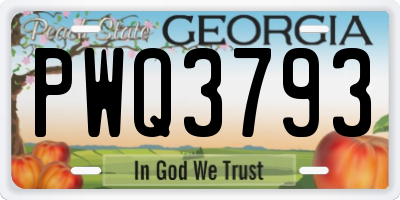 GA license plate PWQ3793