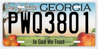 GA license plate PWQ3801