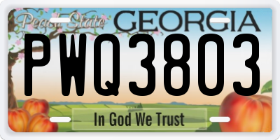 GA license plate PWQ3803