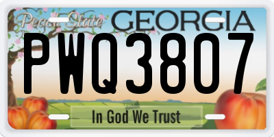 GA license plate PWQ3807