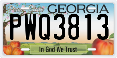 GA license plate PWQ3813
