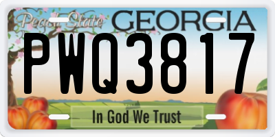 GA license plate PWQ3817