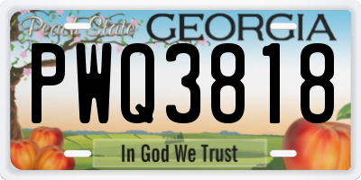 GA license plate PWQ3818