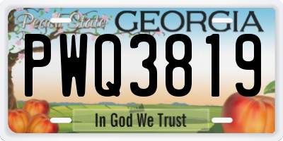 GA license plate PWQ3819