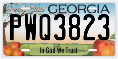 GA license plate PWQ3823