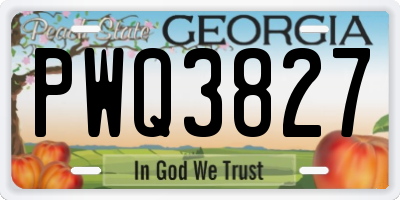 GA license plate PWQ3827