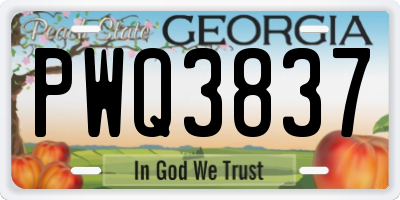 GA license plate PWQ3837