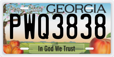 GA license plate PWQ3838