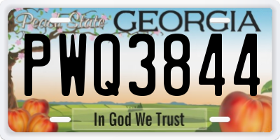 GA license plate PWQ3844