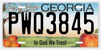 GA license plate PWQ3845