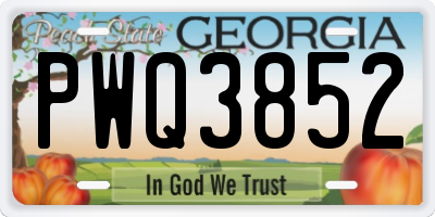 GA license plate PWQ3852