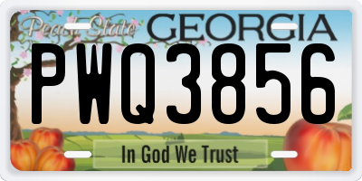 GA license plate PWQ3856