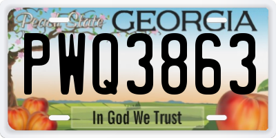 GA license plate PWQ3863