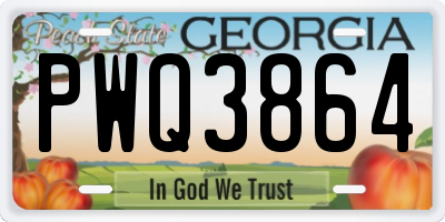 GA license plate PWQ3864