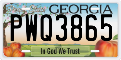 GA license plate PWQ3865