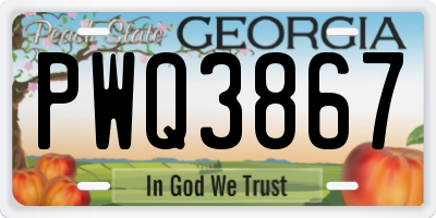 GA license plate PWQ3867